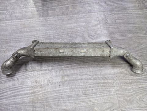 Mercedes interkulleri — Bakı
