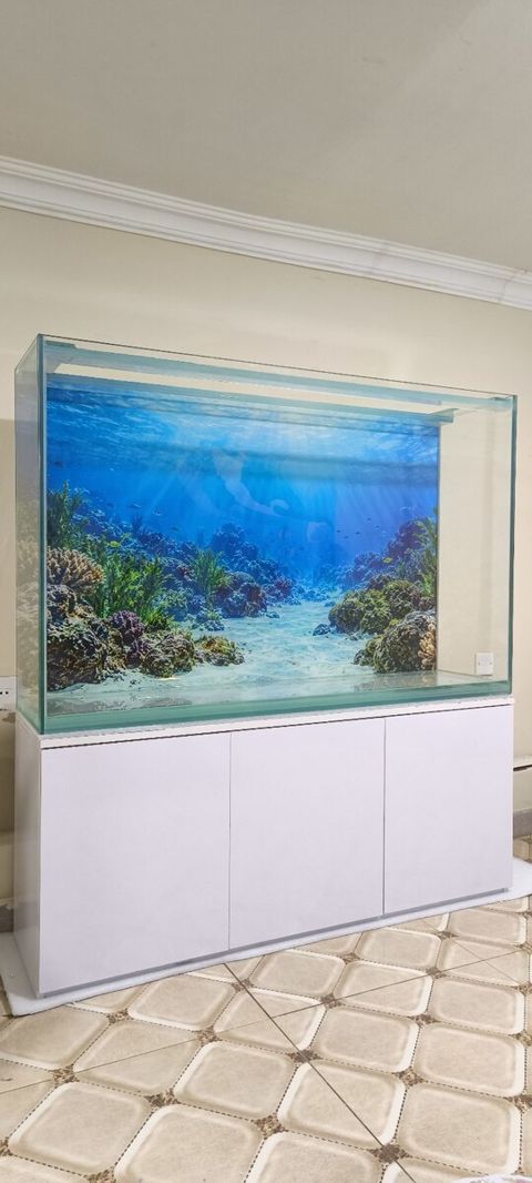 Akvarium — Bakı