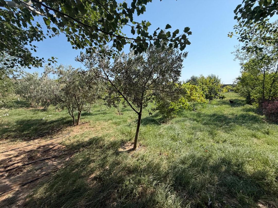 İcarəyə verilir 4 otaqlı həyət evi/bağ evi 400 m² — Ev, villa, Bakı (4)