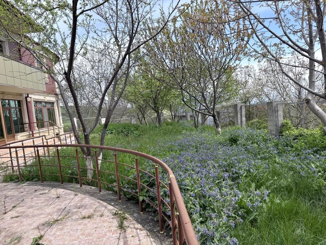 Satılır 8 otaqlı həyət evi/bağ evi 270 m² — Ev, villa, Şamaxı (5)