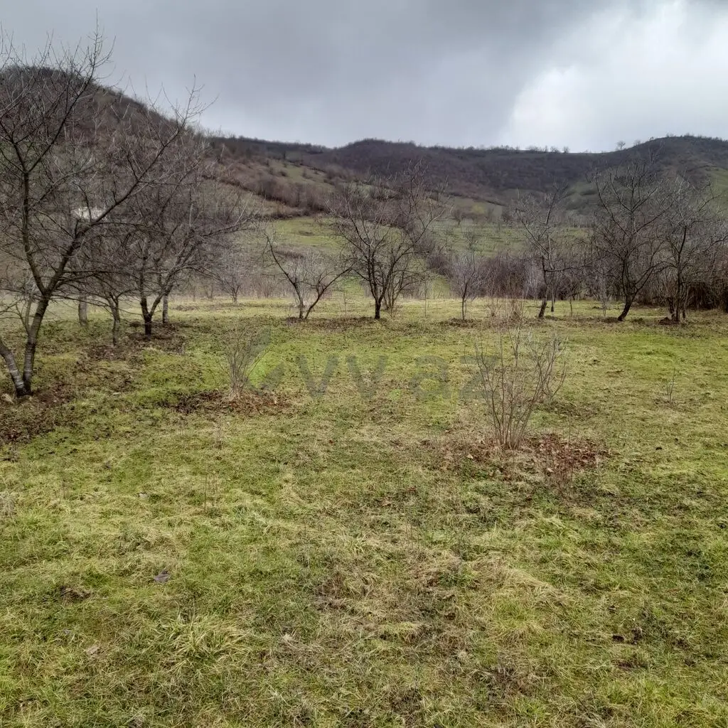 80 sot Torpaq Satılır, Quba — Torpaq, Quba (3)