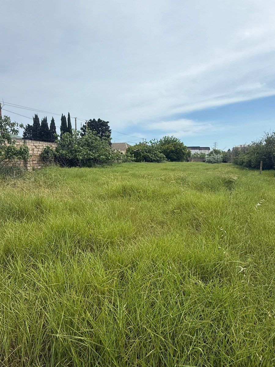 14 sot torpaq sahəsi, Albalı qəs — Torpaq, Bakı (12)