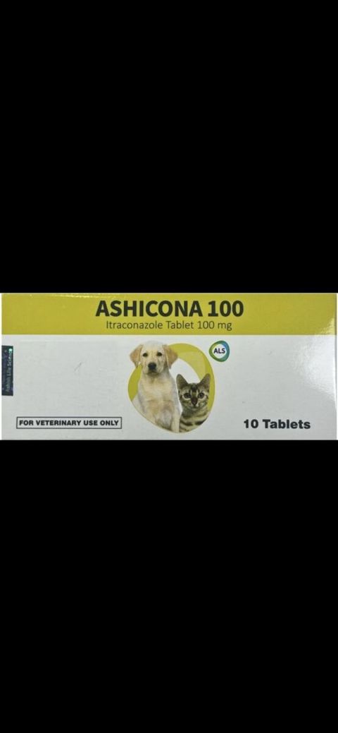 Ashicona 100mg 10 tablet — Bakı