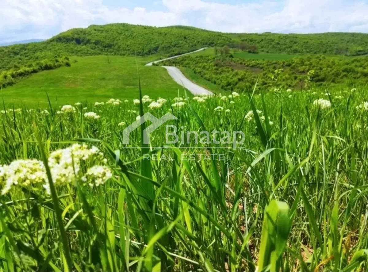 Satılır torpaq 524 sot, Quba rayonu — Torpaq, Bakı (2)