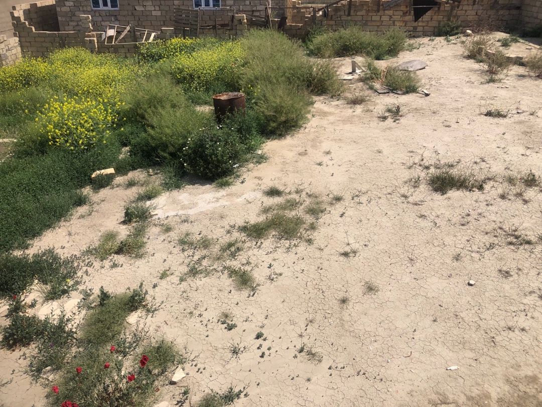 4 sot torpaq sahəsi, Qobu qəs — Torpaq, Bakı (9)