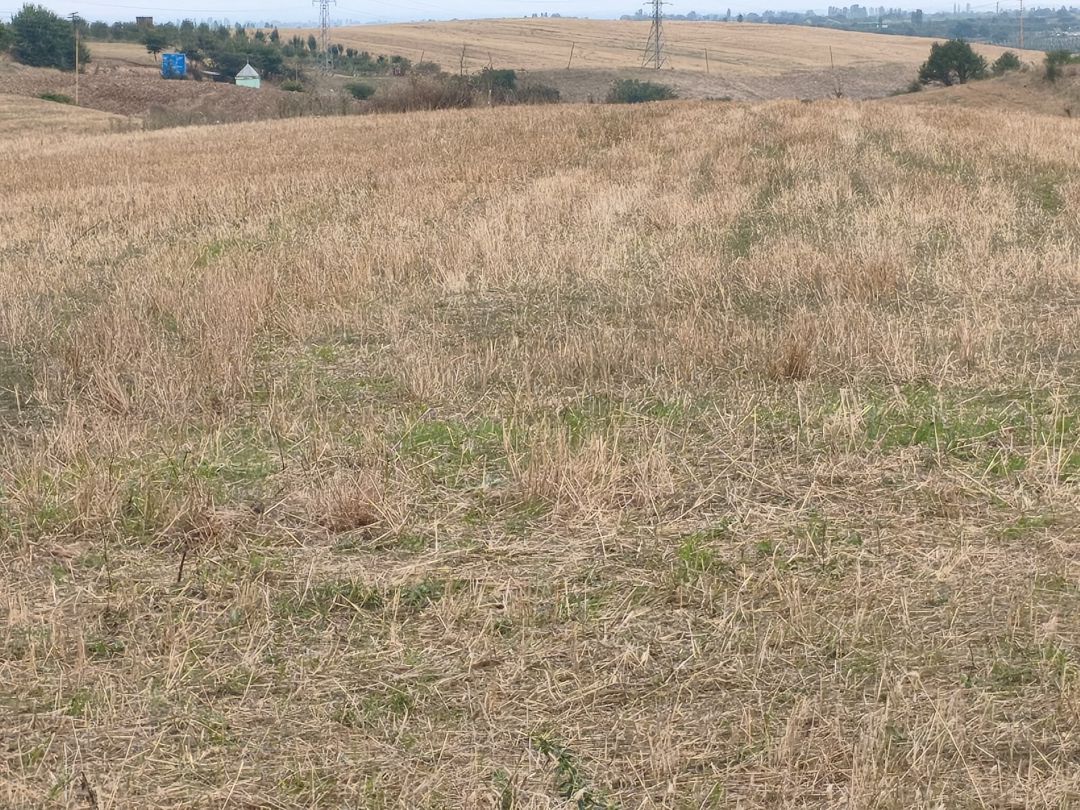 23 sot torpaq sahəsi, Quba ş — Torpaq, Quba (5)