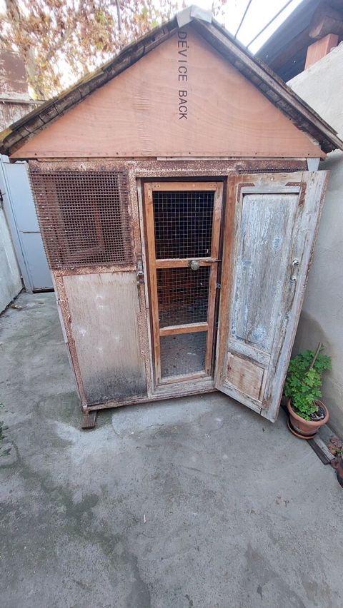 Quş yuvası — 190 ₼ · Bakı · Heyvan malları Quş yuvası — Bakı