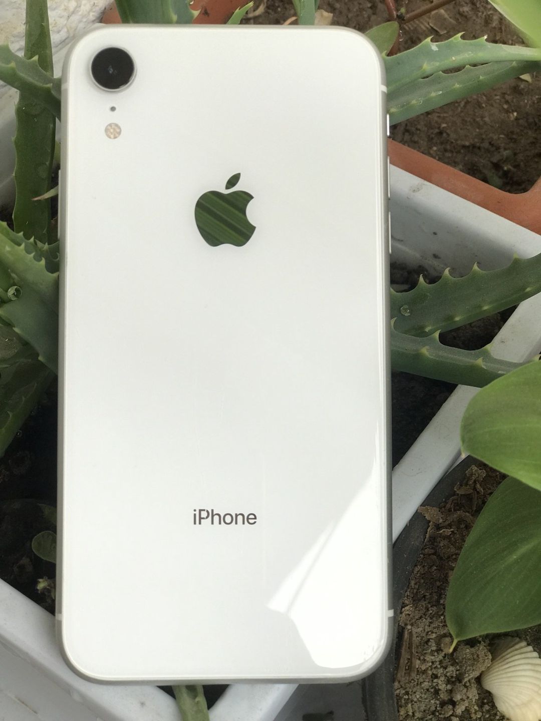 Apple iPhone XR White 256GB/3GB — Smartfonlar, Bakı (2)