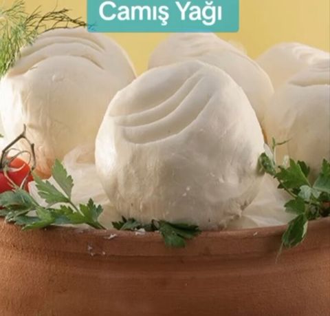 Çamış yağı — Bakı