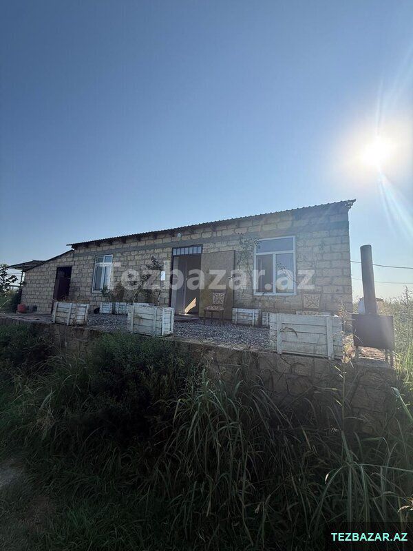 Xaçmaz rayon yergüc kəndində — Torpaq, Xaçmaz (6)