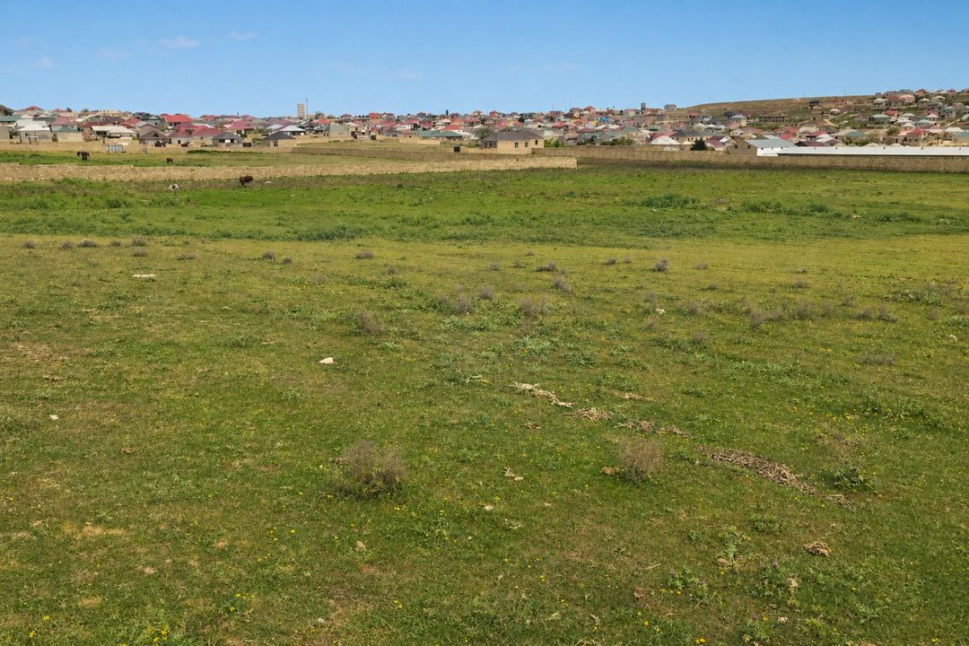 Satılır torpaq 544 sot — Torpaq, Bakı (6)