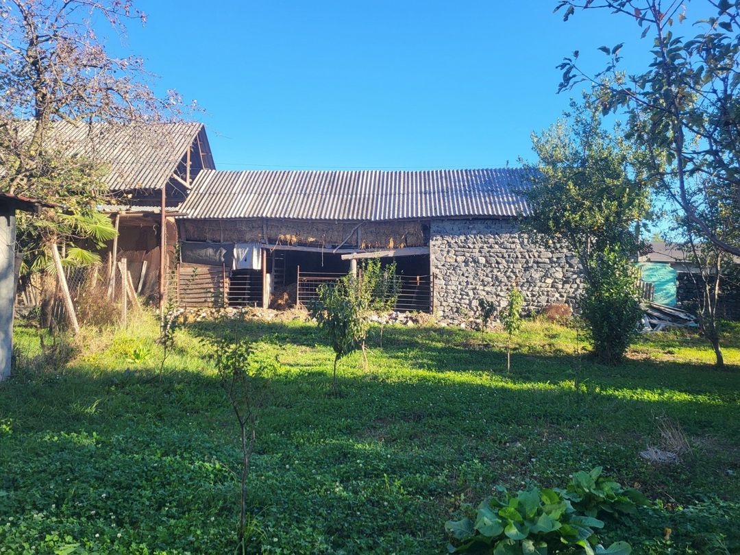 Satılır 7 otaqlı həyət evi/bağ evi 220 m² — Ev, villa, Zaqatala (6)