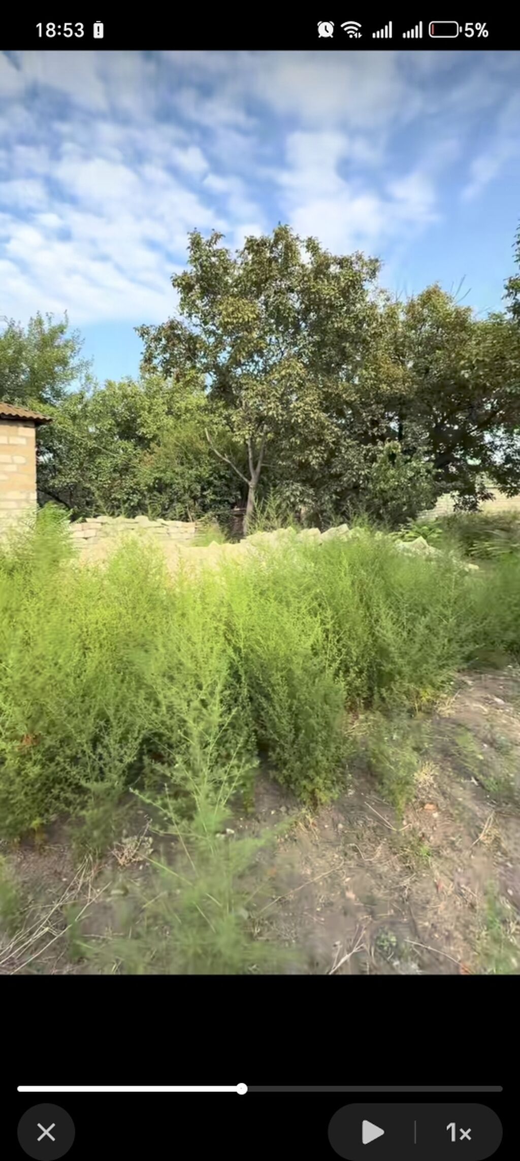 10 sot, Tikinti, Barter mümkündür, Kupça (Çıxarış) — Torpaq, Bərdə (7)