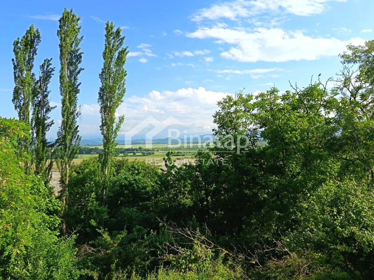Satılır torpaq 20 sot, Quba rayonu — Torpaq, Bakı (5)