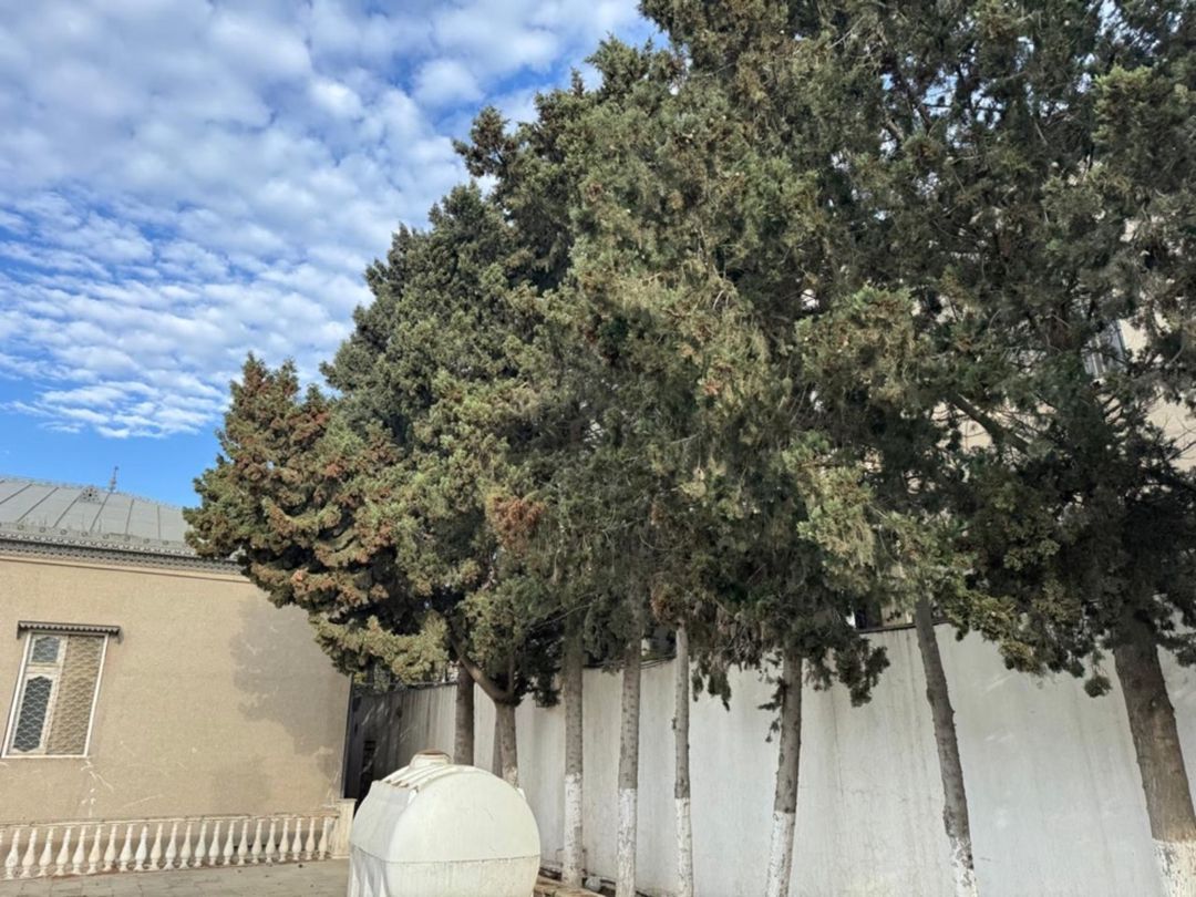 Satılır 4 otaqlı həyət evi/bağ evi 180 m² — Ev, villa, Bakı (5)