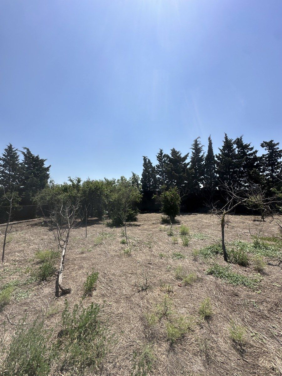 30 sot torpaq sahəsi, Novxanı qəs — Torpaq, Bakı (8)