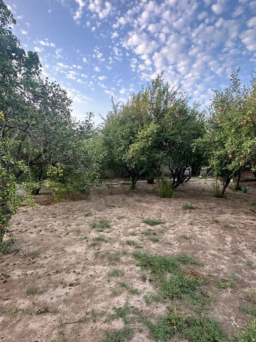 Satılır torpaq 4 sot — Torpaq, Bakı (11)