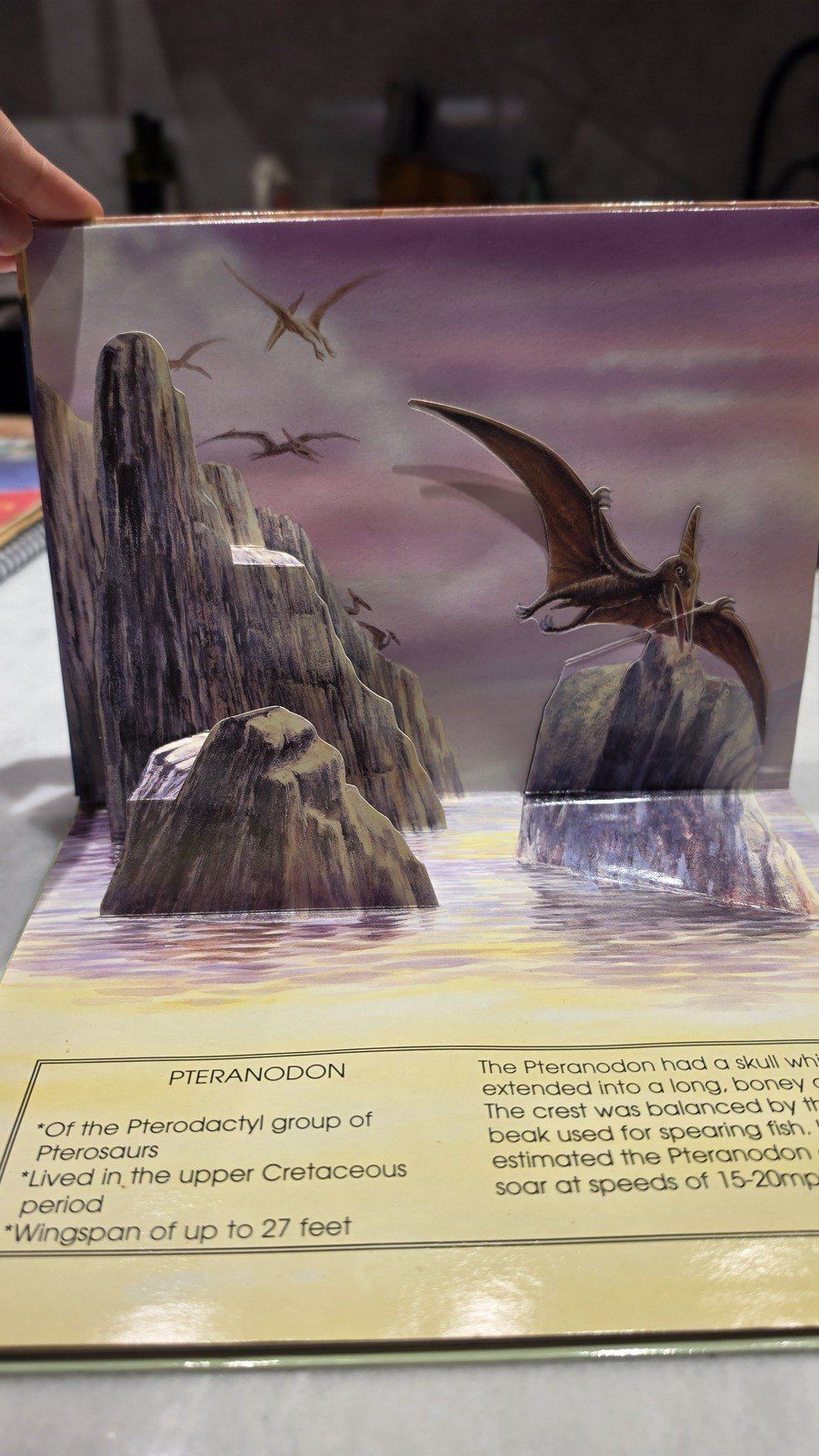 Детская 3D-книга Dinosaurs Pop-Up Book — Kitablar və jurnallar, Bakı (4)