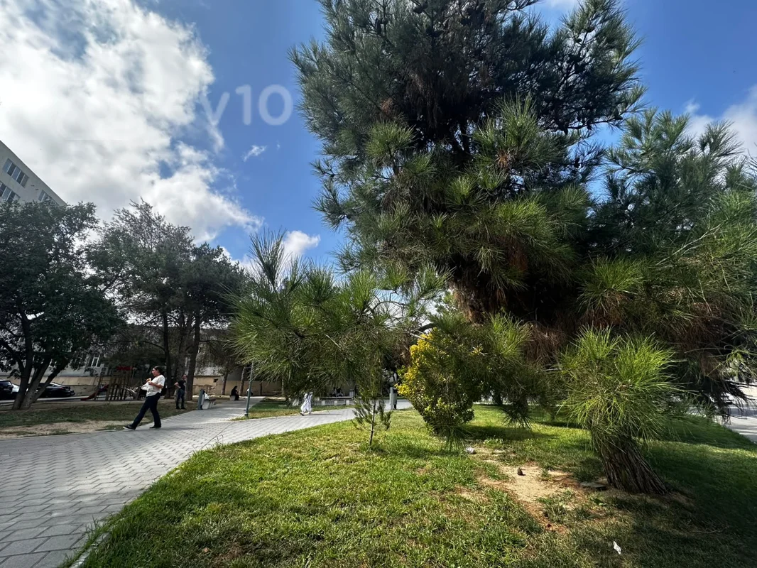 2 otaqlı mənzil, 40 m², Koroğlu Rəhimov küçəsi — Mənzil, Bakı (2)