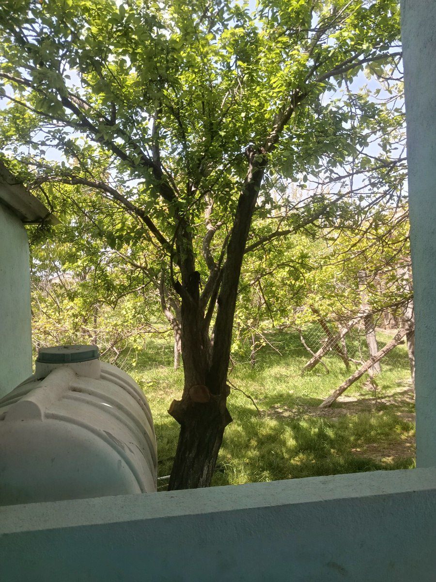 Həyət evi, Pirşağı qəs — Ev, villa, Bakı (4)