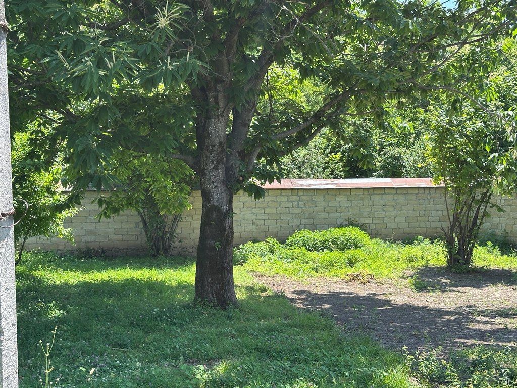 6 sot torpaq sahəsi, Qəbələ ş — Torpaq, Qəbələ (11)