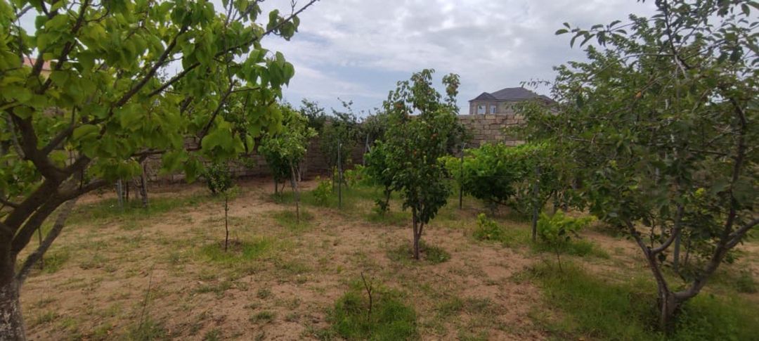 Satılır 3 otaqlı həyət evi/bağ evi 100 m² — Ev, villa, Bakı (3)