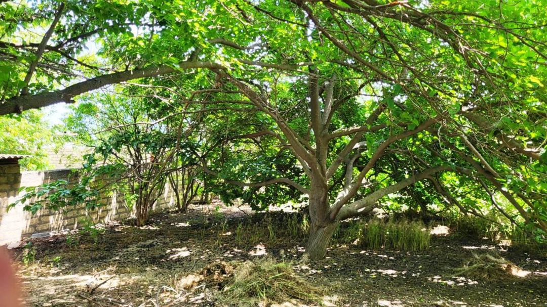 Satılır 5 otaqlı həyət evi/bağ evi 150 m² — Ev, villa, Bakı (9)