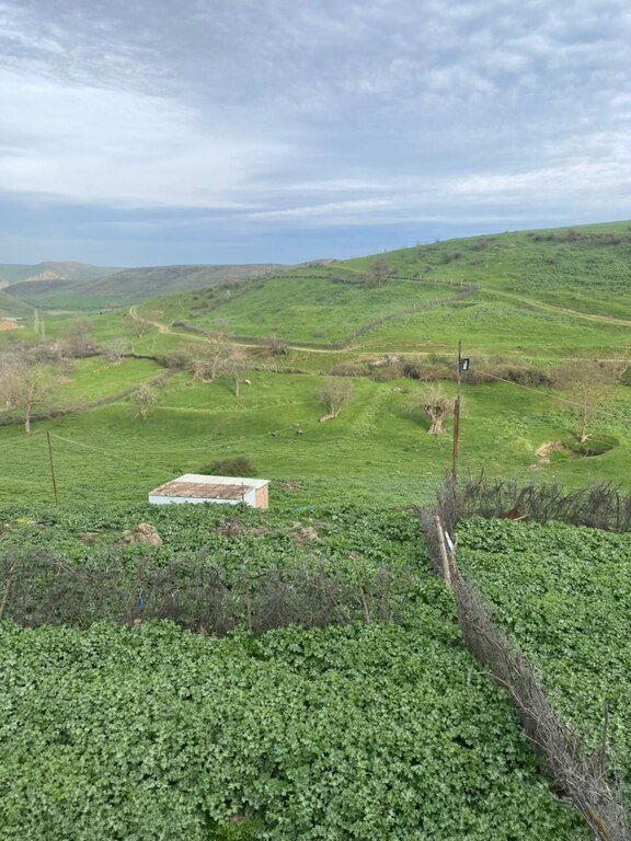 32 sot torpaq sahəsi, Qərəh Kəndi — Torpaq, Siyəzən (3)