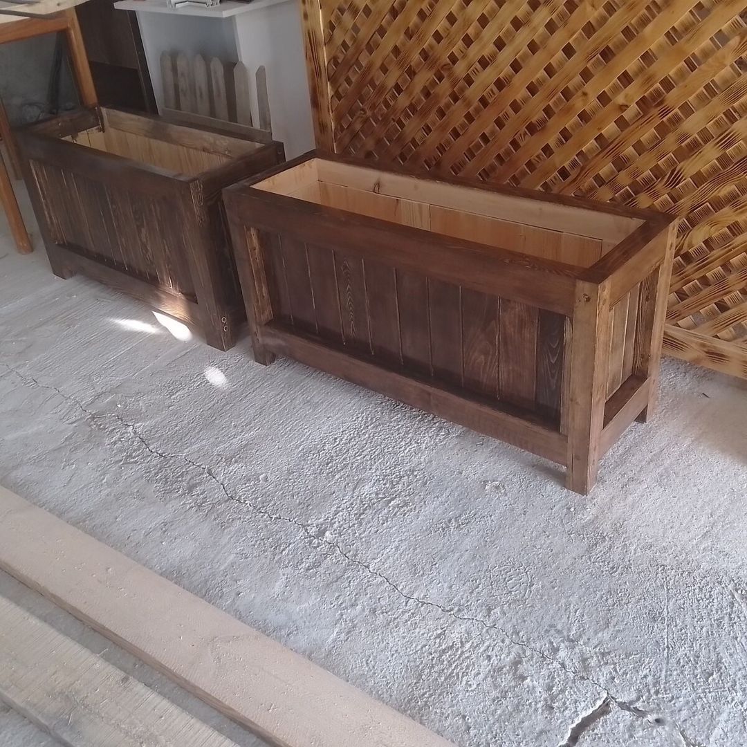Taxta dibçək — Bitkilər, Bakı