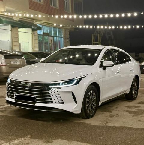BYD Destroyer 05, 1.5 L, 18.3 kWh, 2025 il, 59 000 km — Bakı