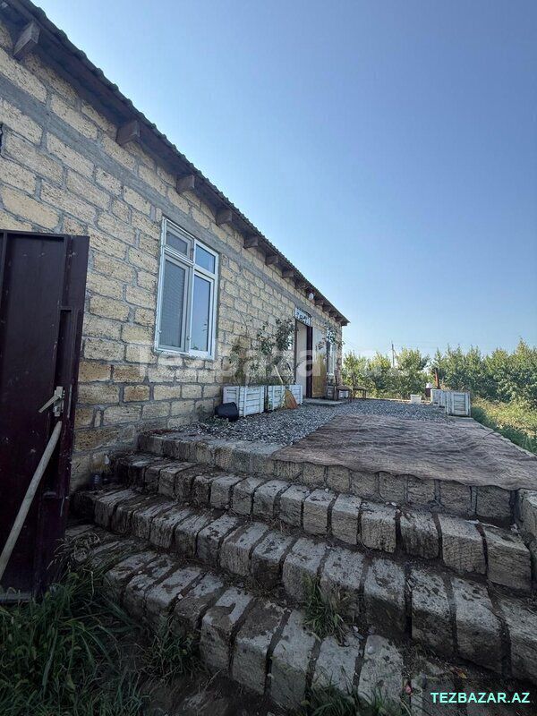 Xaçmaz rayon yergüc kəndində — Torpaq, Xaçmaz (5)