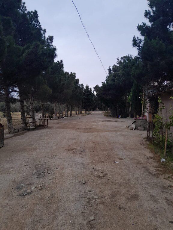 Həyət evi, Yeni Ramana qəs — Ev, villa, Bakı (5)