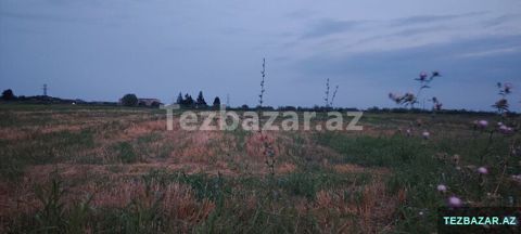torpaq satışı — Bərdə