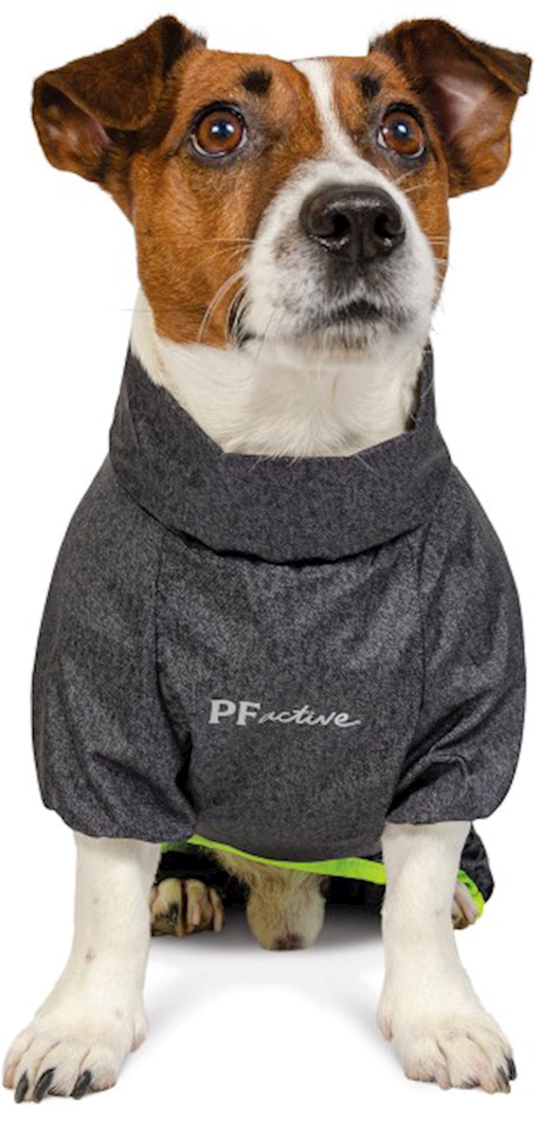 Kombinezon itlər üçün Pet Fashion Active Cold XS Taksa — Mallar, Bakı (2)
