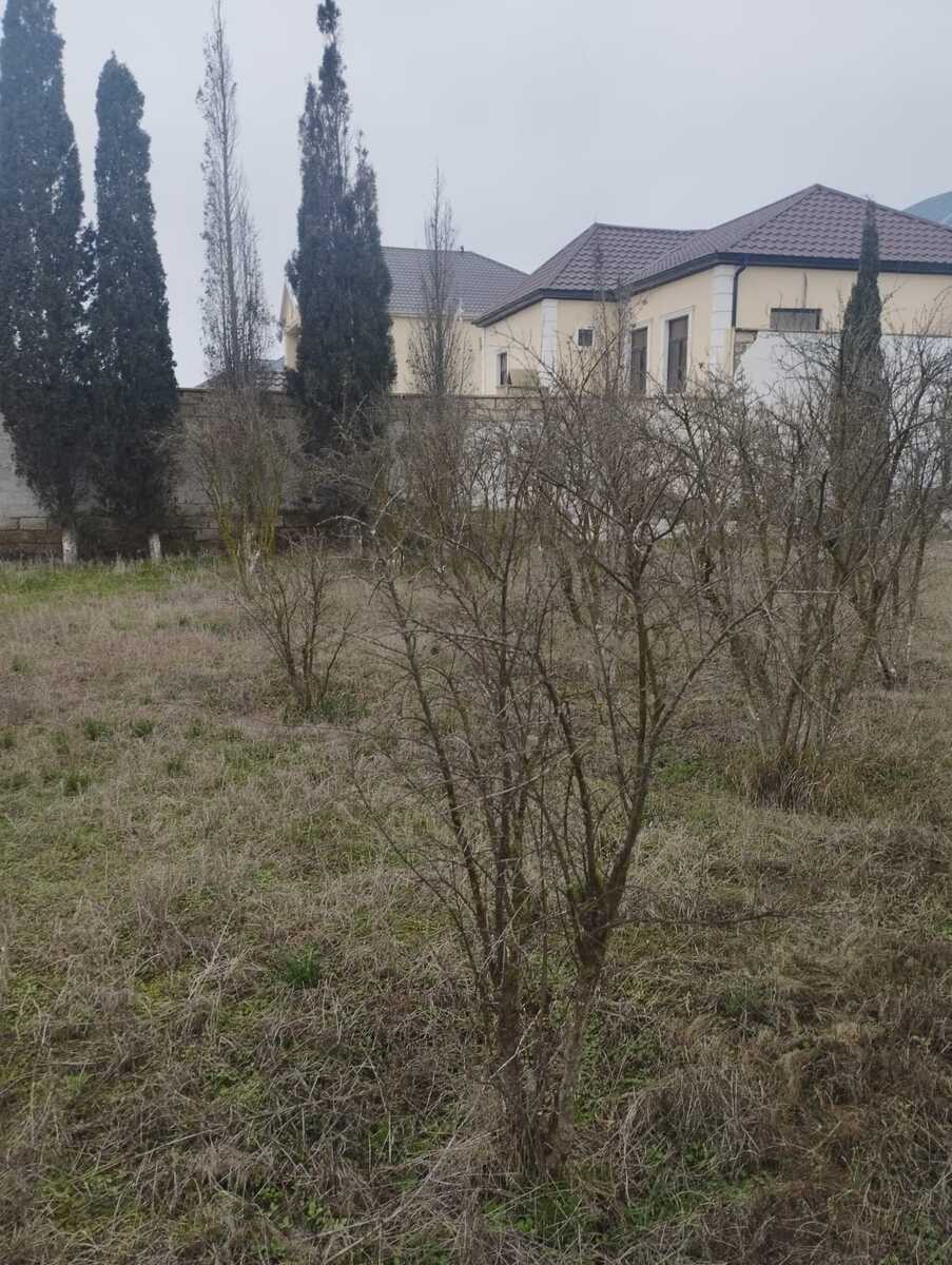 Satılır torpaq 16 sot — Torpaq, Bakı (5)