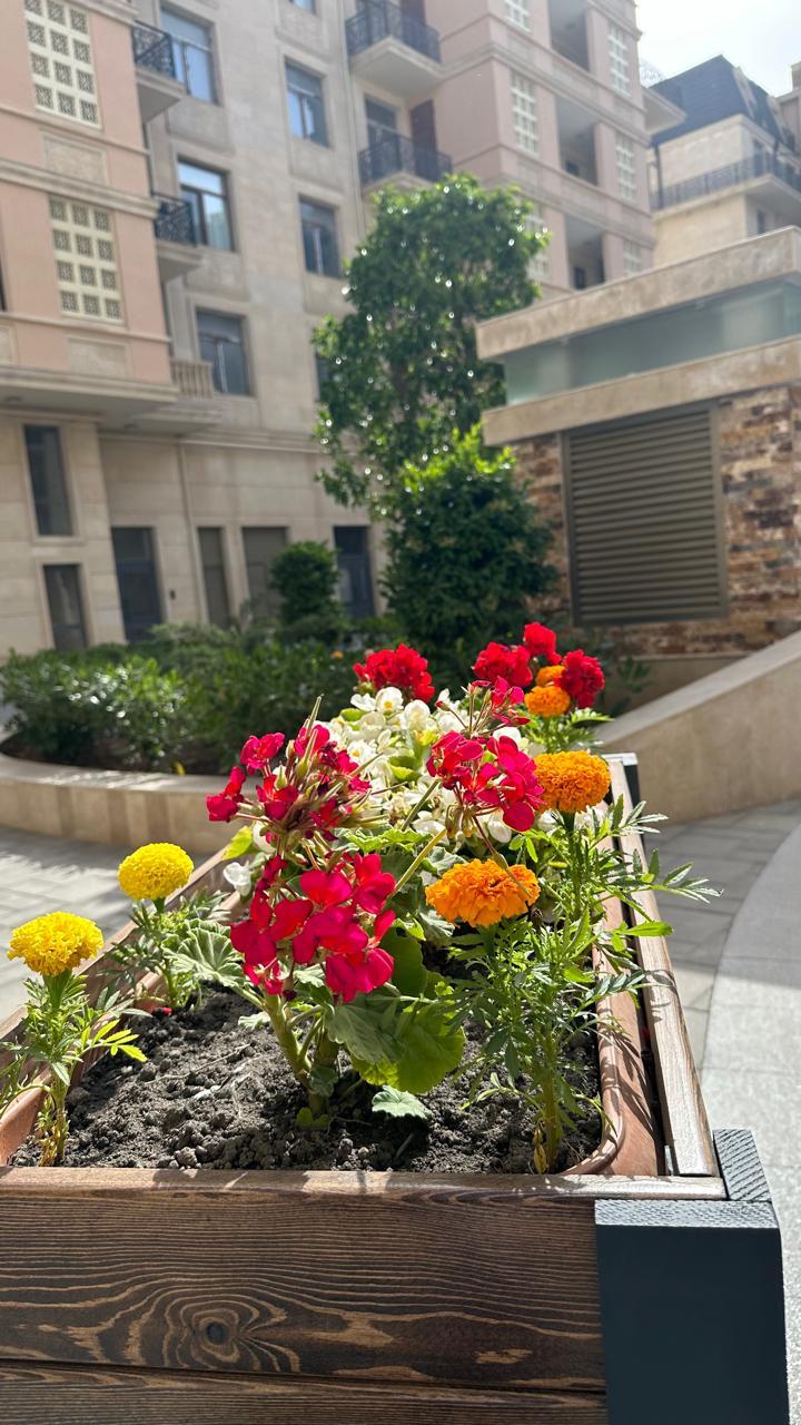2 otaqlı mənzil, 82 m², Süleyman Vəzirov küç., 11/1 (Monparnas Residence) — Mənzil, Bakı (2)