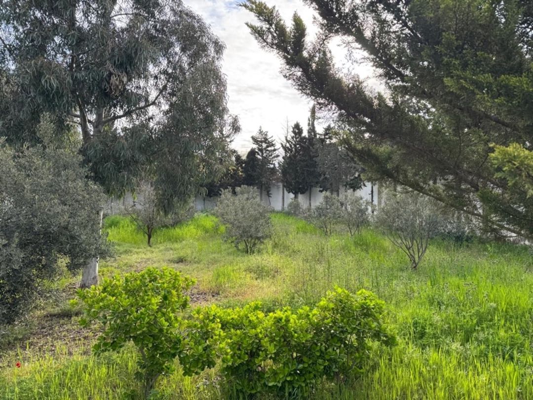 Satılır 4 otaqlı həyət evi/bağ evi 180 m² — Ev, villa, Bakı
