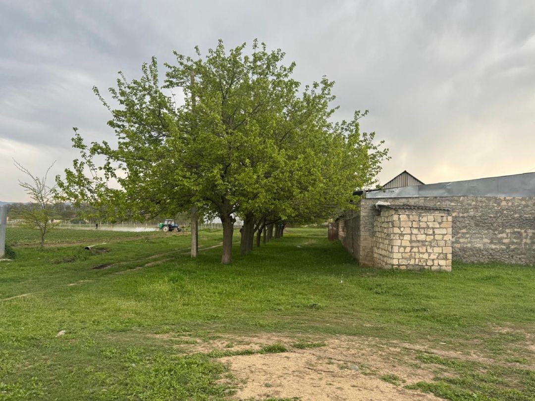 50 sot torpaq sahəsi, Tovuz rayonu — Torpaq, Tovuz (12)