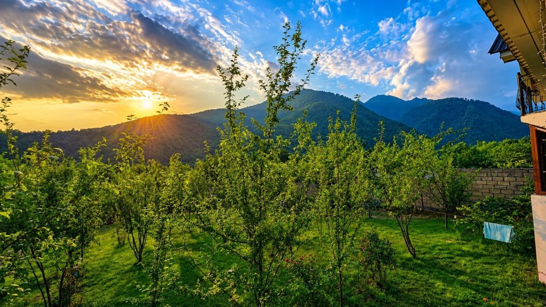 Bağ evi kirayə verilir, Qəbələ ş — Ev, villa, Qəbələ (4)