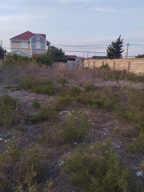 12.5 sot torpaq sahəsi, Albalı qəs — Bakı