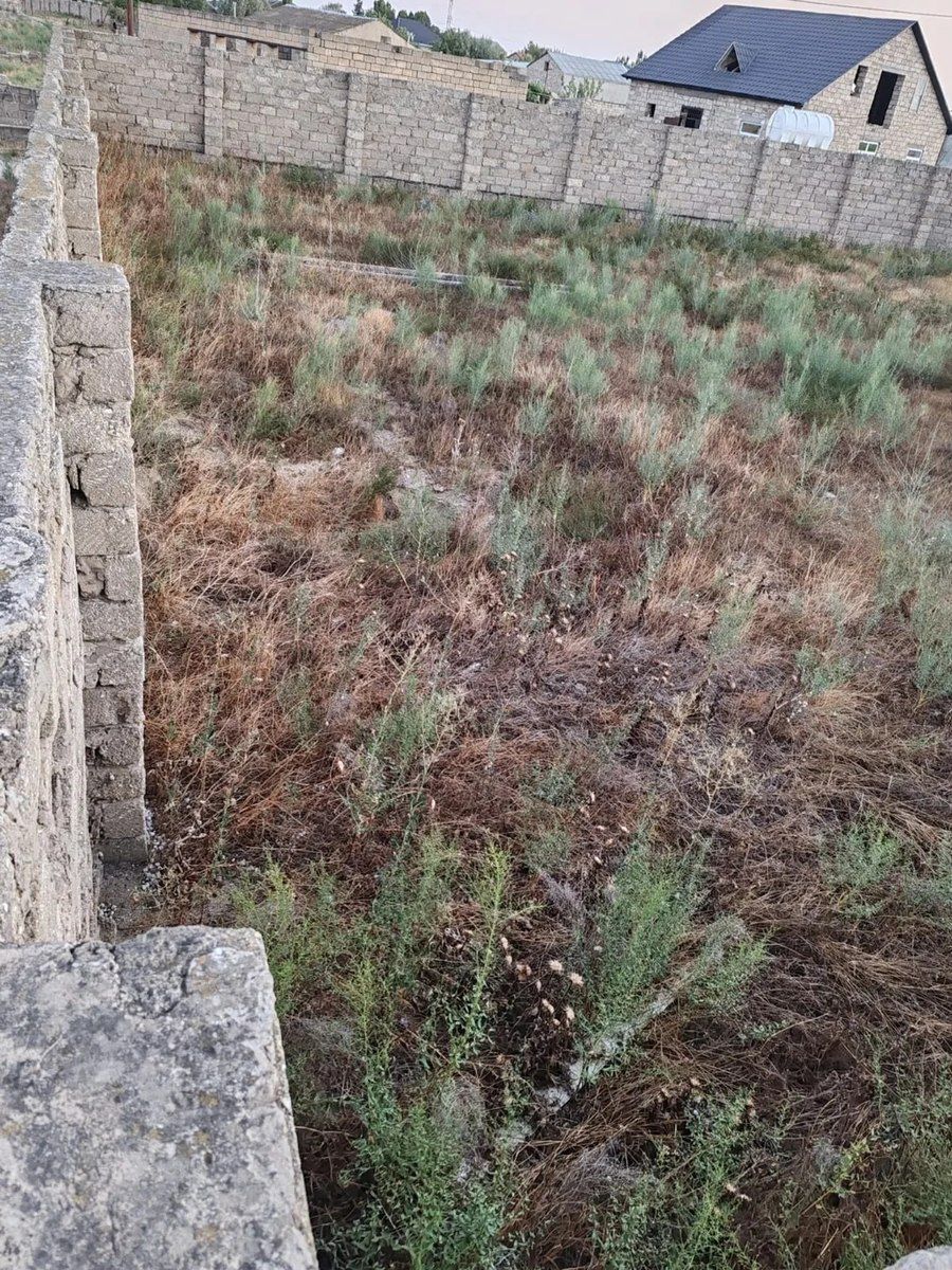 Satılır torpaq 6 sot — Torpaq, Bakı (2)