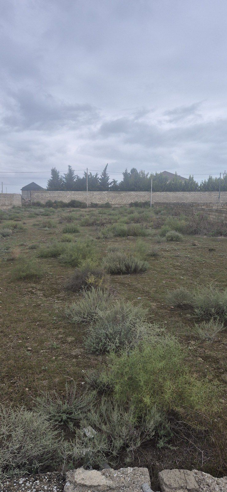 Satılır torpaq 5 sot — Torpaq, Bakı (3)