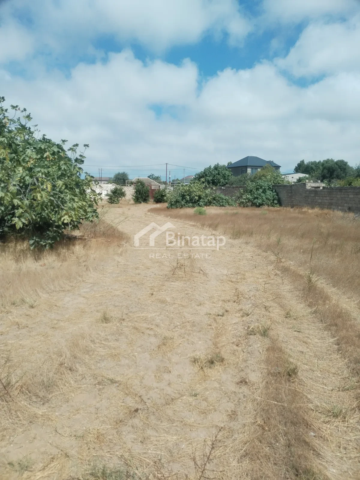 Satılır torpaq 6 sot, Albalılıq qəsəbəsi, Sabunçu rayonu — Torpaq, Bakı (5)