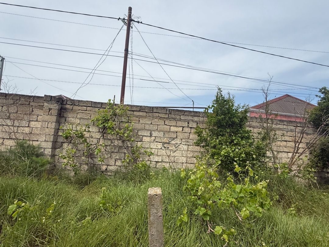14 sot torpaq sahəsi, Albalı qəs — Torpaq, Bakı (10)