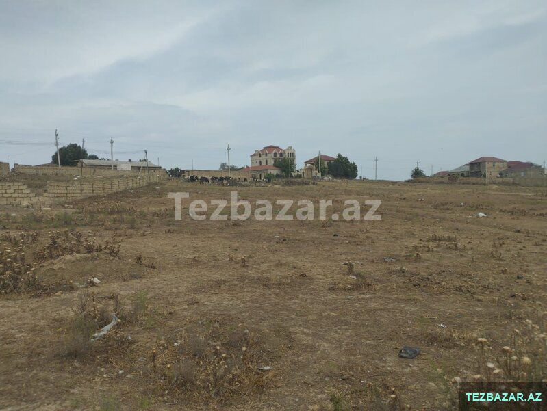 Abşeron Ayonu Saray qesebesi — Torpaq, Xırdalan (2)