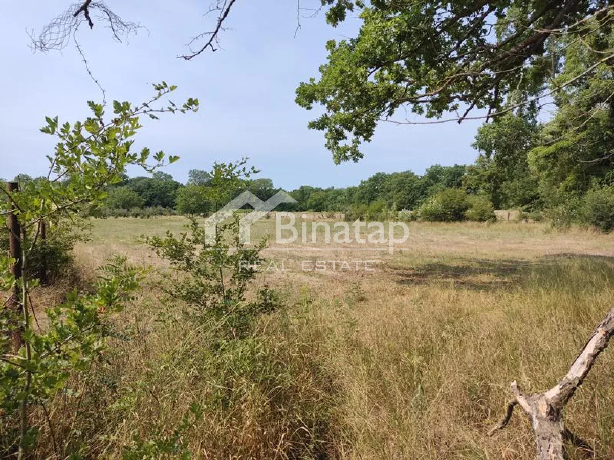 Satılır torpaq 10 sot, Dübəndi qəsəbəsi, Xəzər rayonu — Torpaq, Bakı (4)