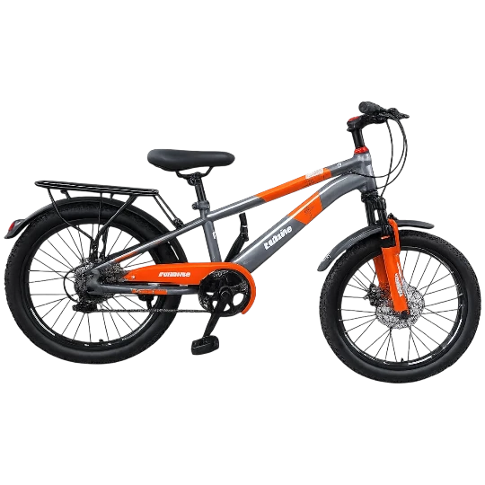 Velosiped BDF C 112-20 Gmakr — Bakı