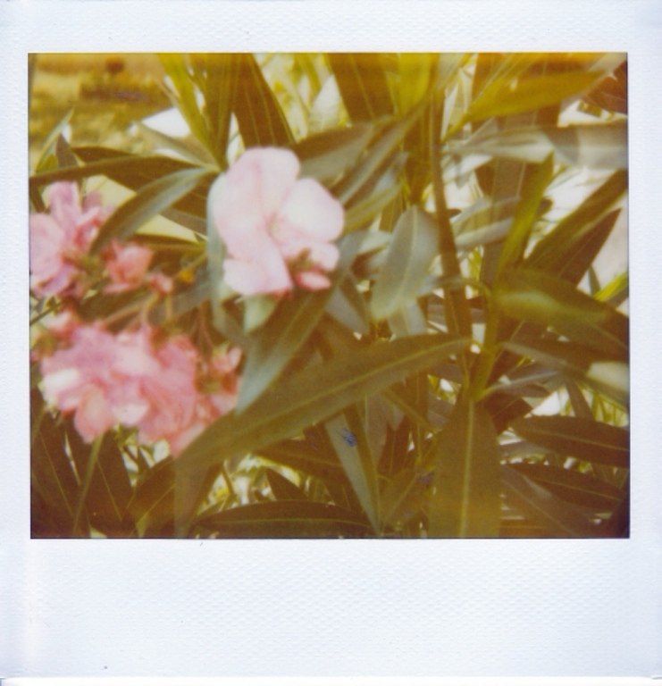 Fotoaparat "Polaroid Image 2" — Foto və video texnikası, Bakı (12)