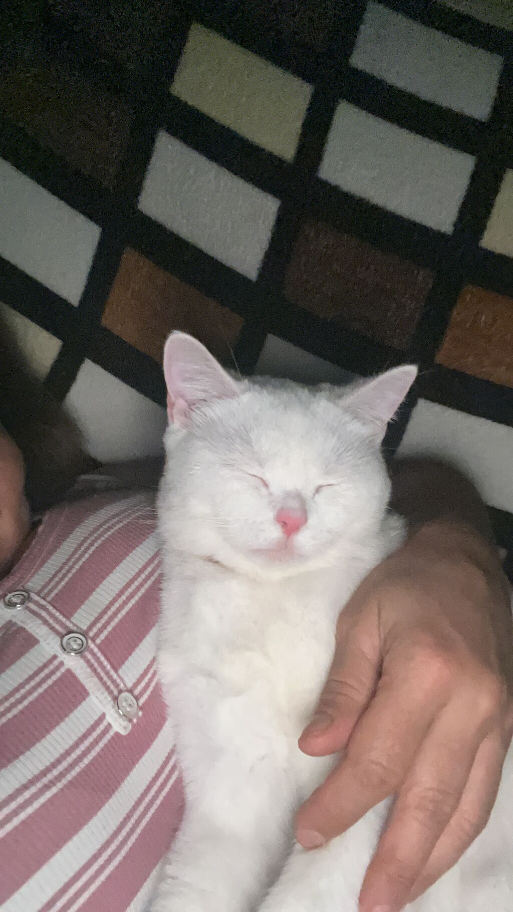 Otaq yoldaşi xanim lazimdi 2otaqli evin 1otagina heyet evidi — Mənzil, Bakı (7)
