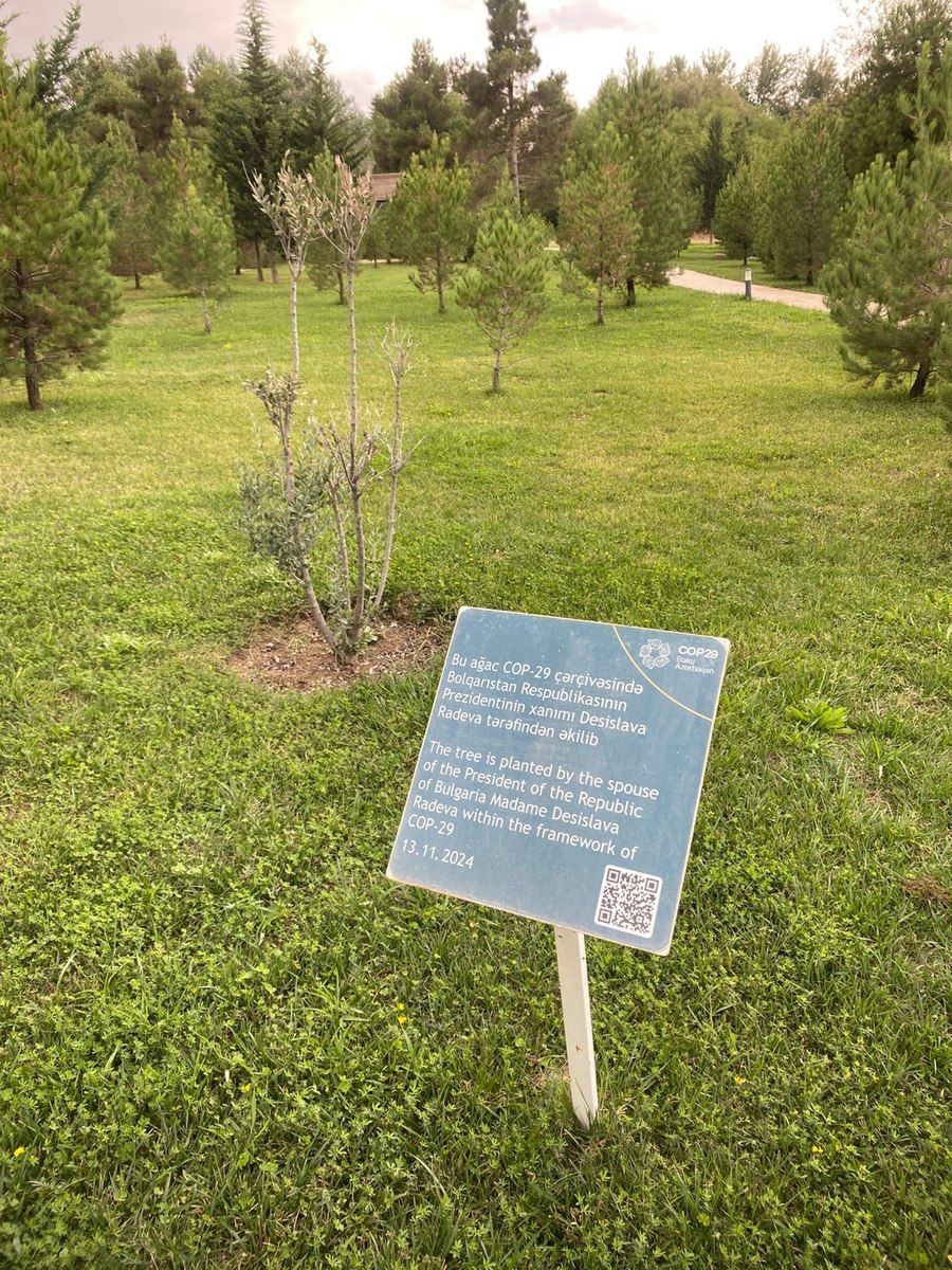 20 sot torpaq sahəsi, Masazır qəs — Torpaq, Bakı (2)